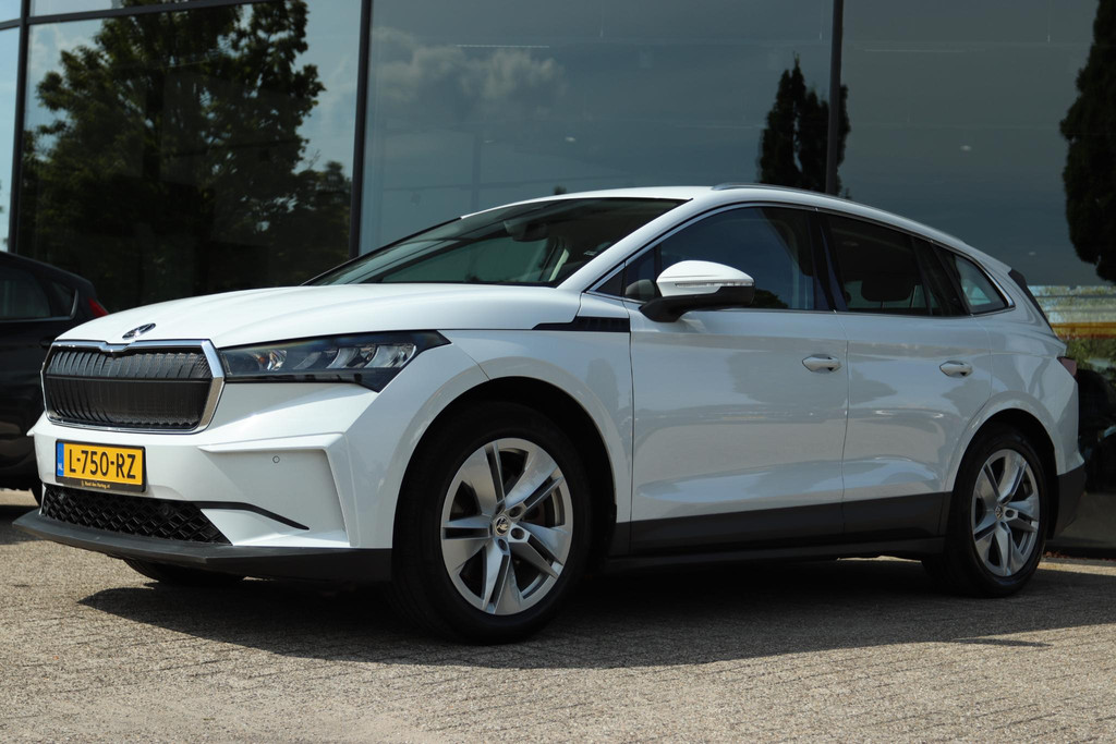 55634705